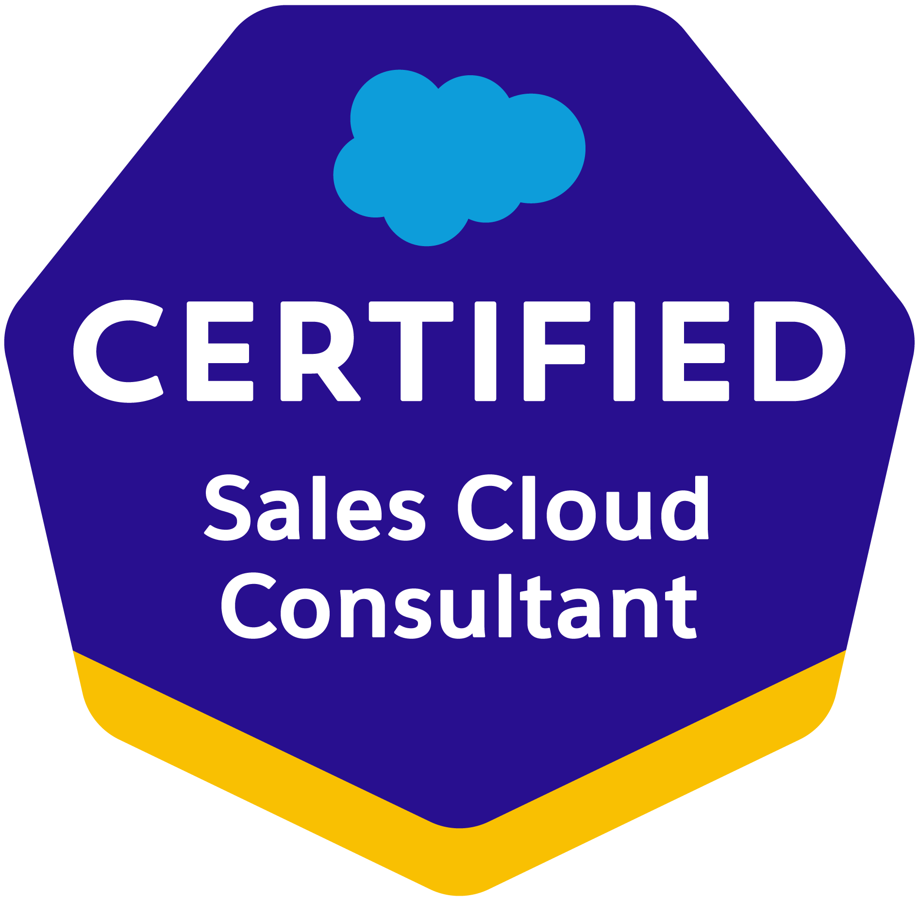 Salesforce Certified Partner
