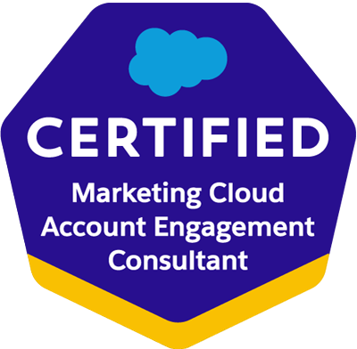 Salesforce Partner